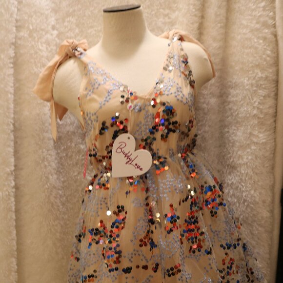 Buddy Love Dresses & Skirts - Buddy Love Melanie Firework NWT sequin party dress stunning V-neck